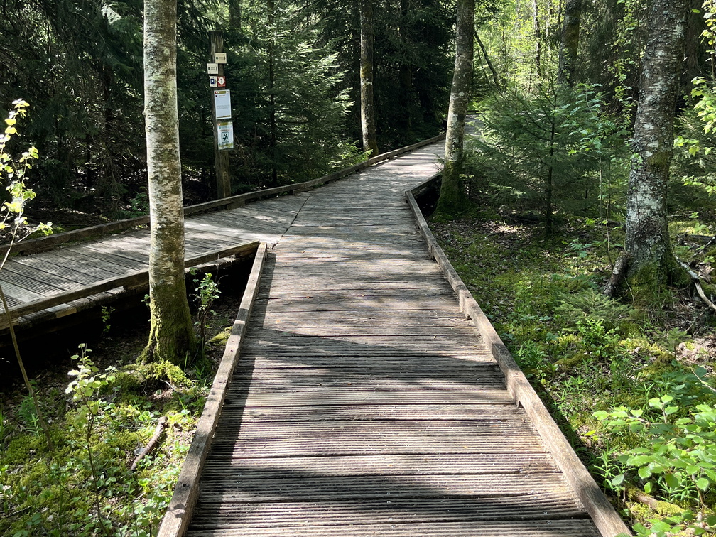 23-05-27 10-38-06 5717